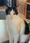 Daisy - Photo 1