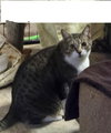 Cooper - Photo 2