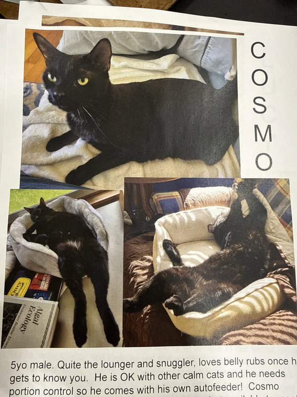 Cosmo
