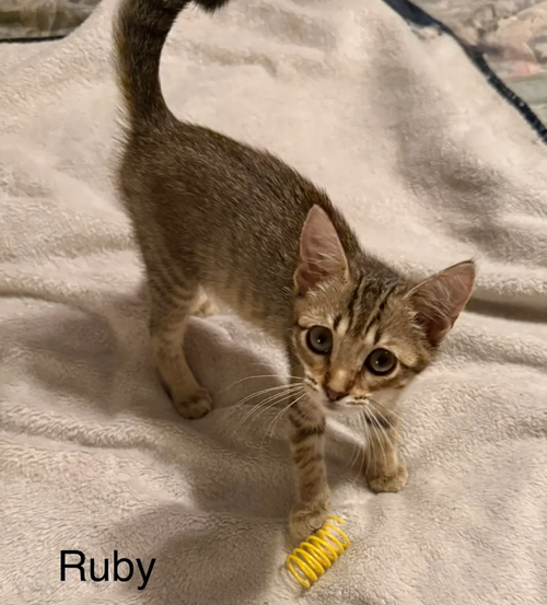 Ruby