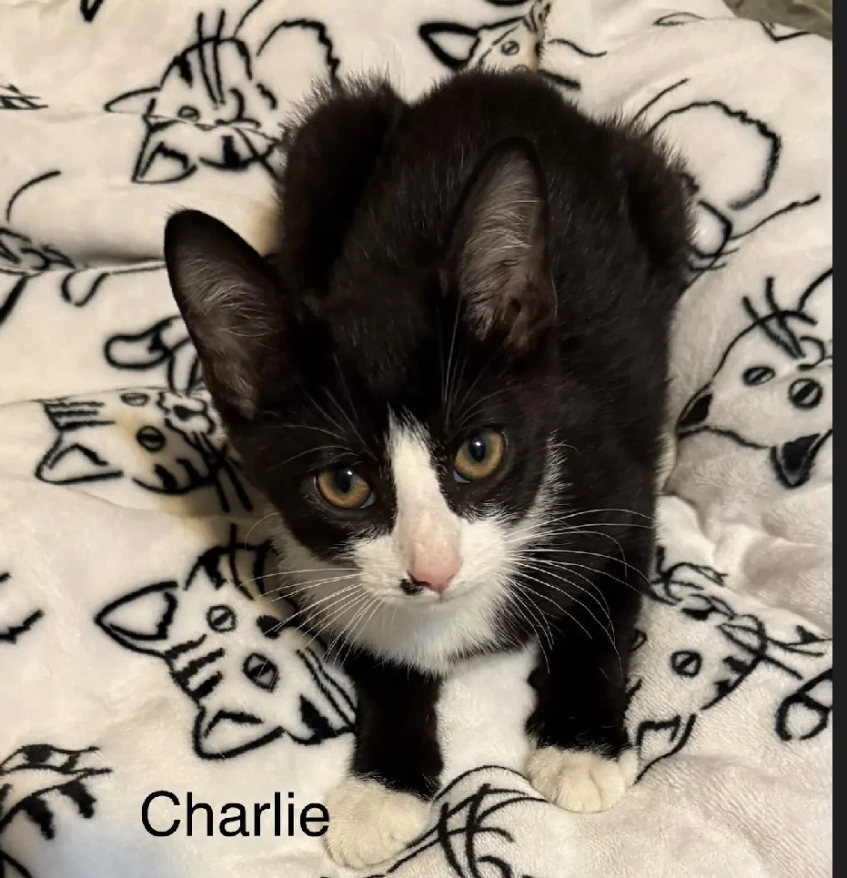 Charlie