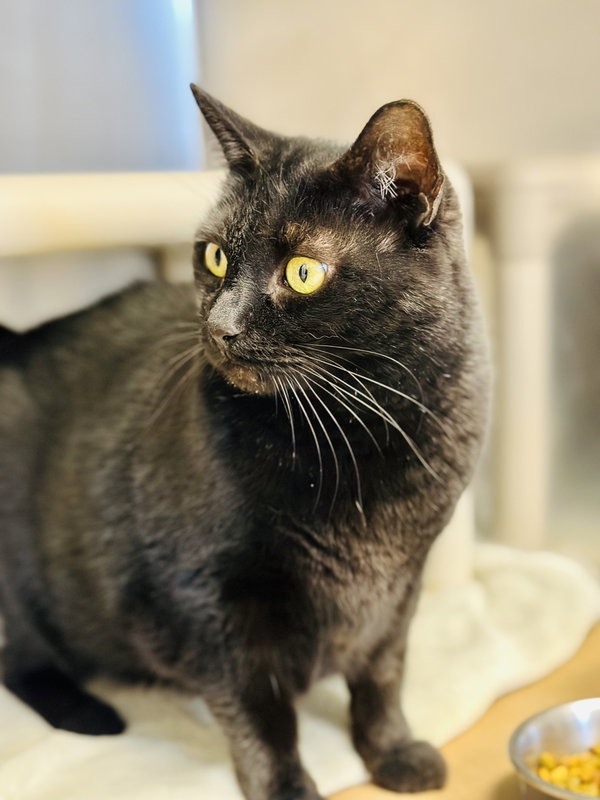 Gina