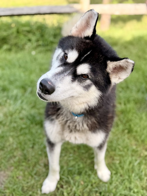 Photo 2 of Maverick