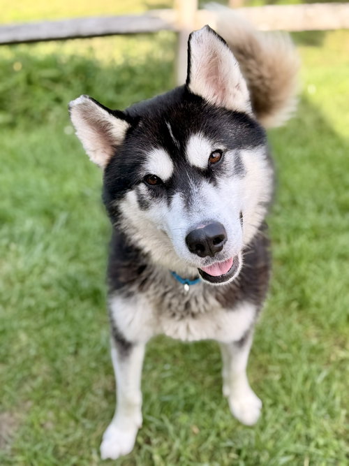 Photo 3 of Maverick