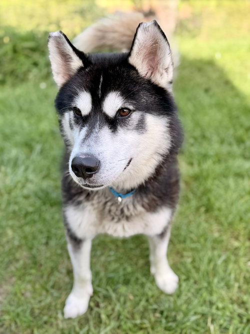 Photo 4 of Maverick