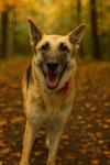 Gretchen - Photo 2