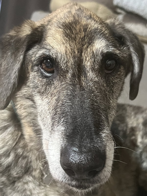 Maddie