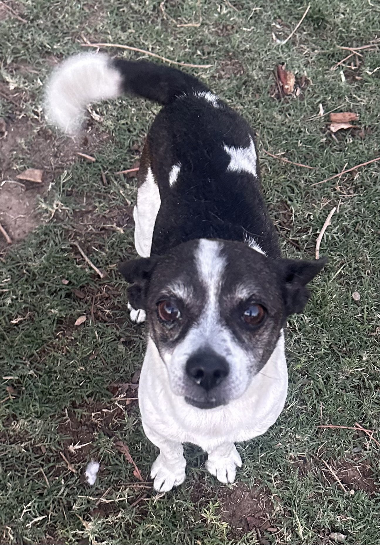 Milo