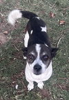 Milo - Photo 1