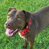 Starsky - Photo 2