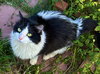 Dottie - Photo 1