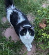 Dottie - Photo 2