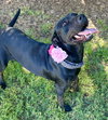 Nyla - Photo 2