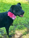 Nyla - Photo 3