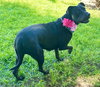 Nyla - Photo 4