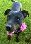 Nyla - Photo 5