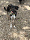 Doug - Photo 3