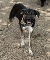 Doug - Photo 4