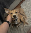 Alfalfa - Photo 2
