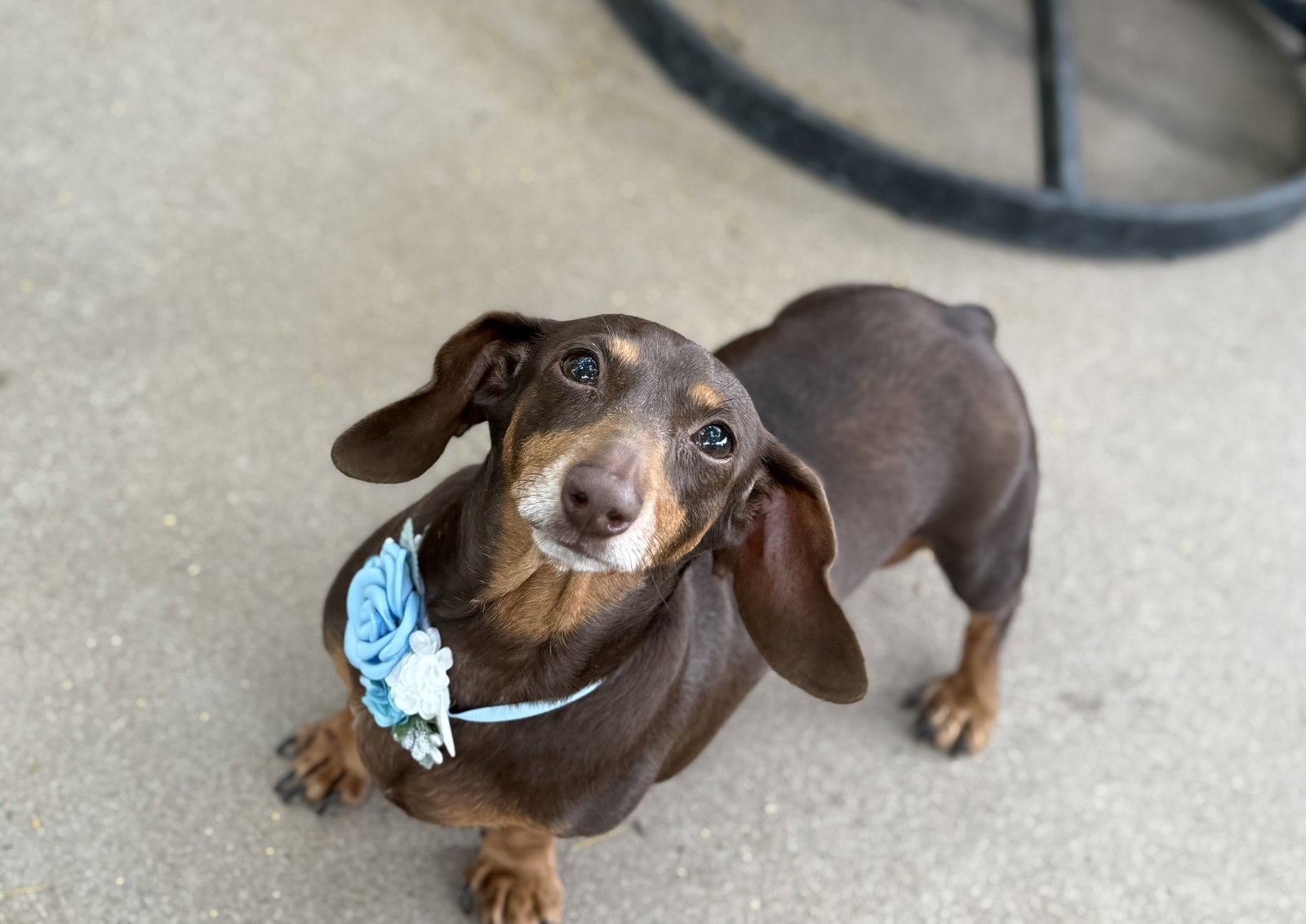 Molly