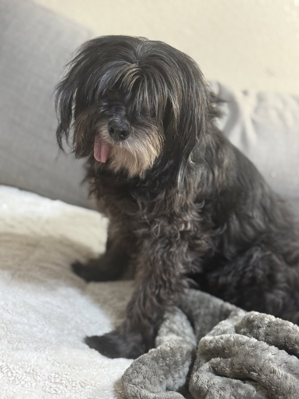 Sid