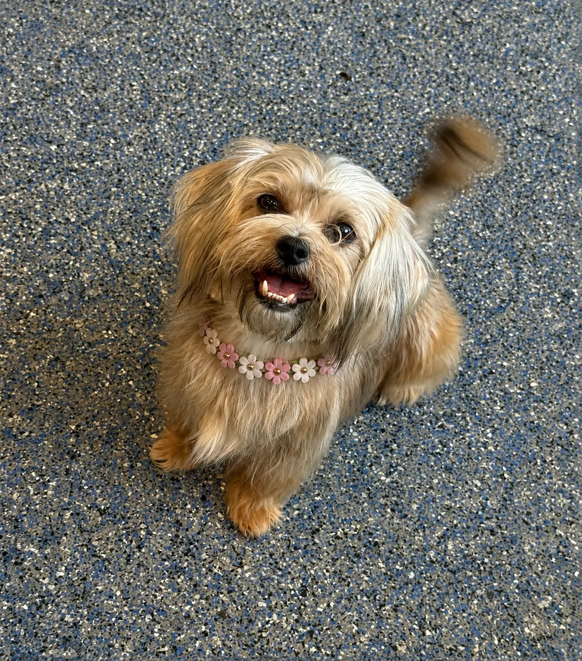 Kimmy image 2