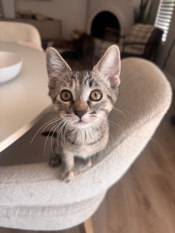 Lili