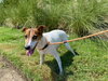 Jack Jack - Photo 2