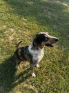 Shirley - Photo 3