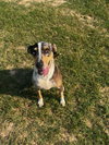 Shirley - Photo 2