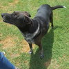 Marco - Photo 4