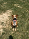 Oz - Photo 2