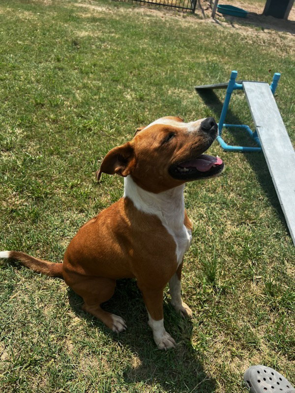 Oz
