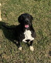 Keta - Photo 2