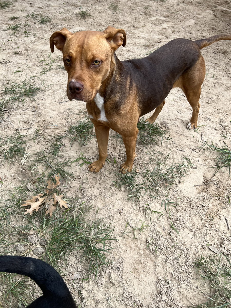 Matilda