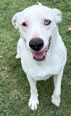 Casper - Photo 4