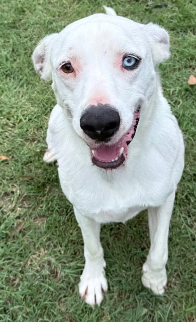 Casper photo 4