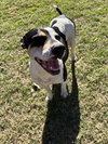 Maggie - Photo 4