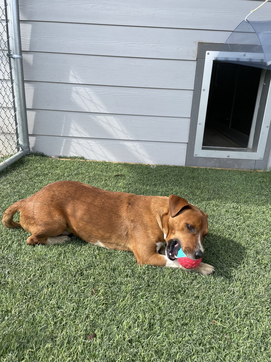 Mr. Red