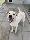 Max - Photo 3
