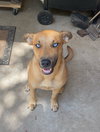 Skye - Photo 2