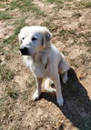 Polar - Photo 2