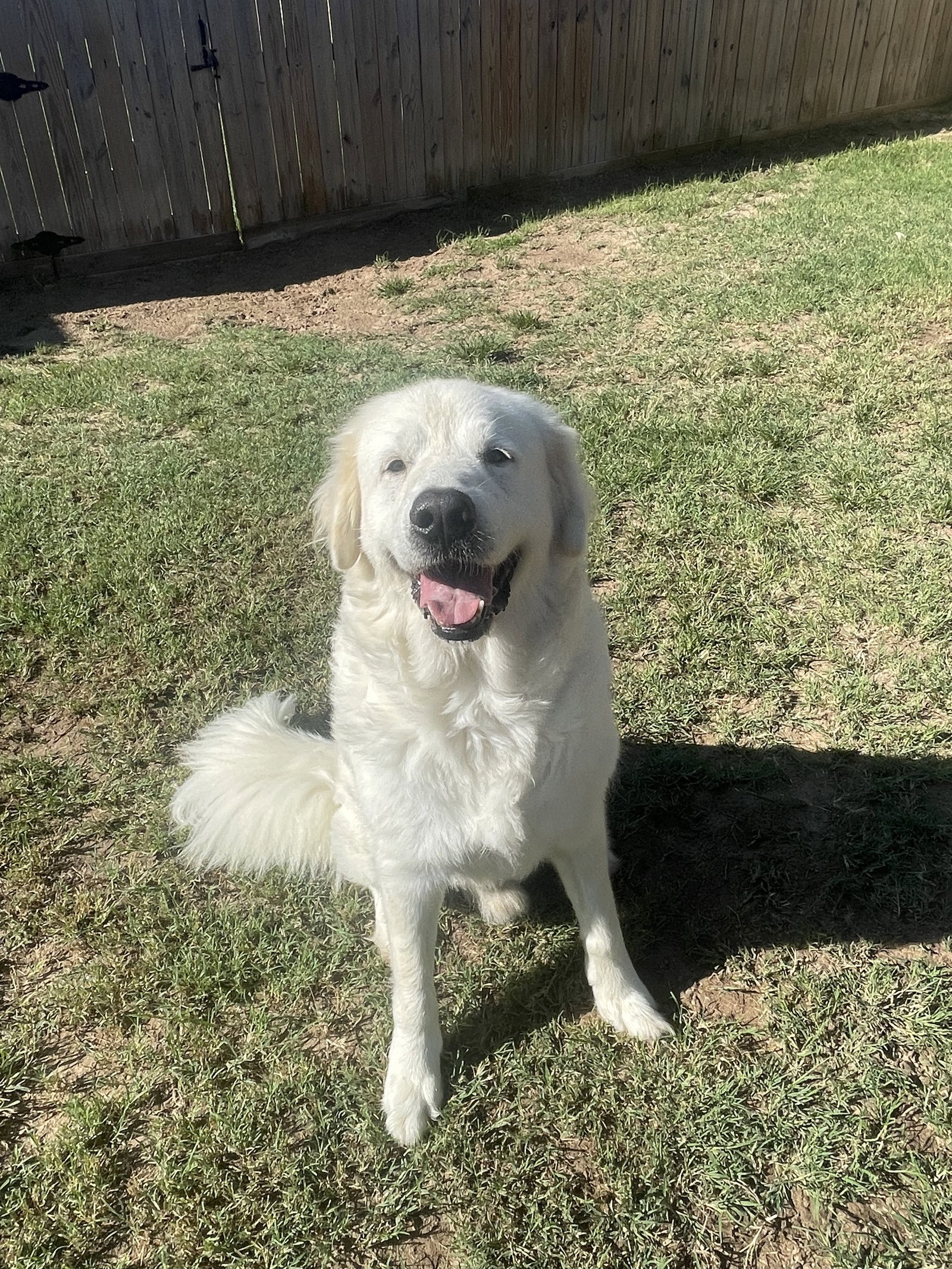 Polar
