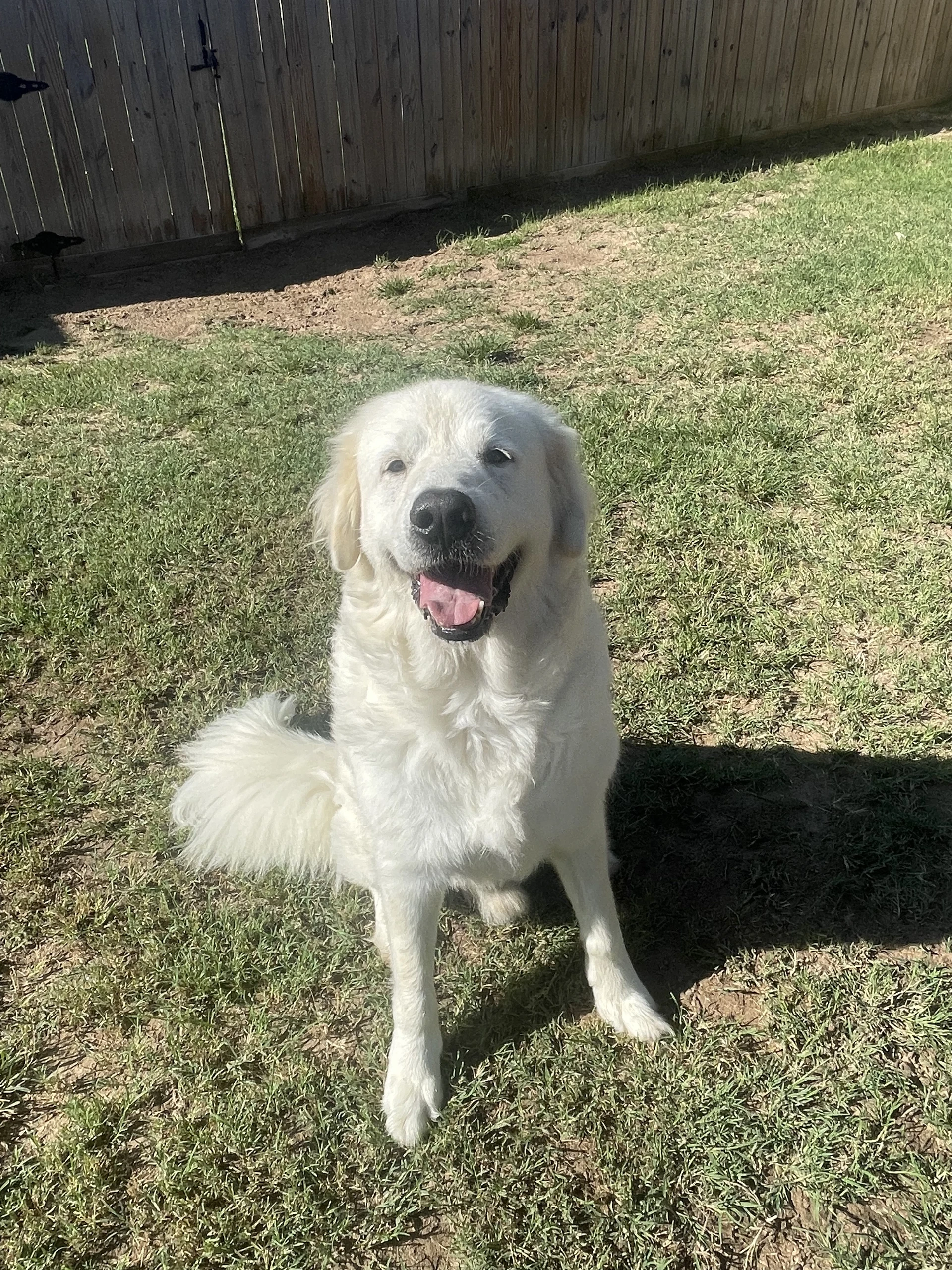 Polar