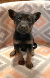 Baby Ruth - Photo 2