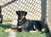 Baby Ruth - Photo 1