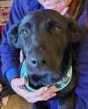 Tootsie - Photo 1