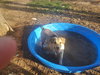 Astrid - Photo 3
