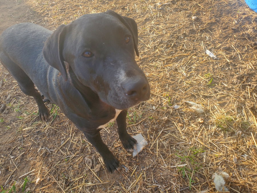 Luna