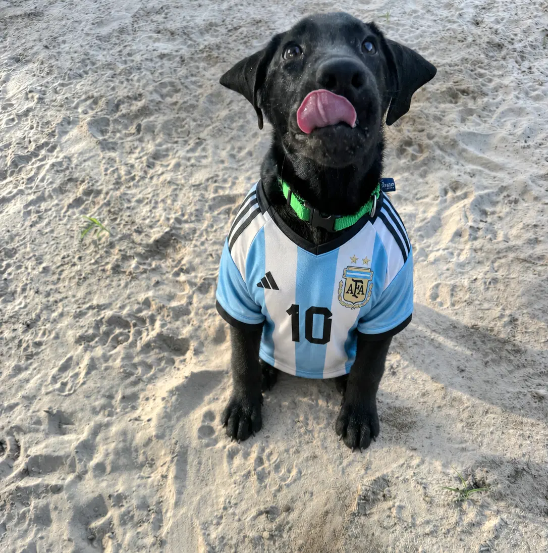 Messi image 2